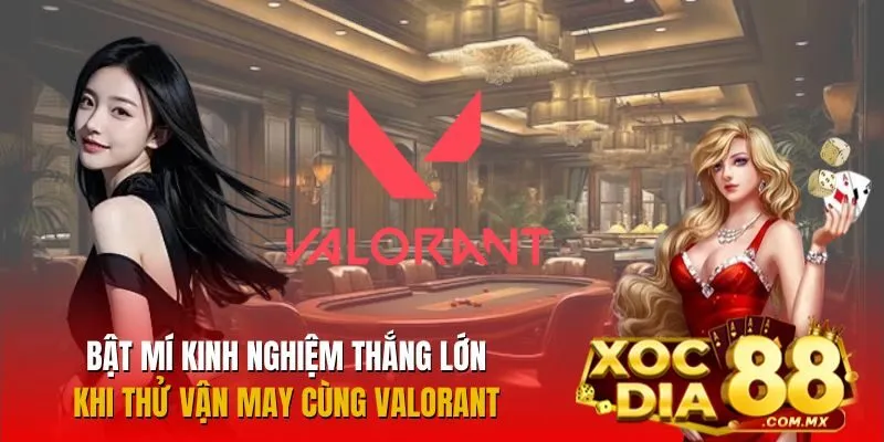 Bật mí bí quyết hữu ích từ cao thủ