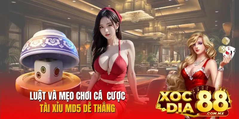Bật mí bí kíp cá cược Tài Xỉu MD5 tăng tỷ lệ chiến thắng