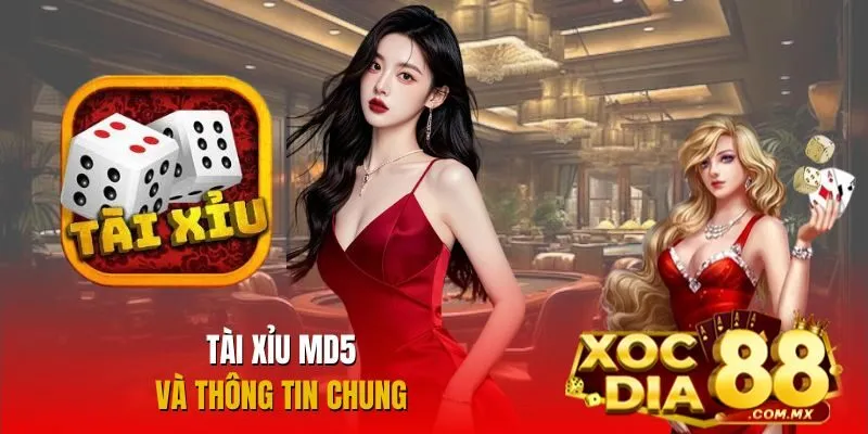 Những thông tin cần biết về tài xỉu MD5