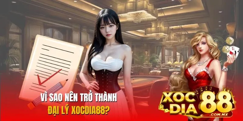 Lợi ích khi đăng ký làm đại lý nhà cái Lợi ích khi đăng ký làm đại lý nhà cái